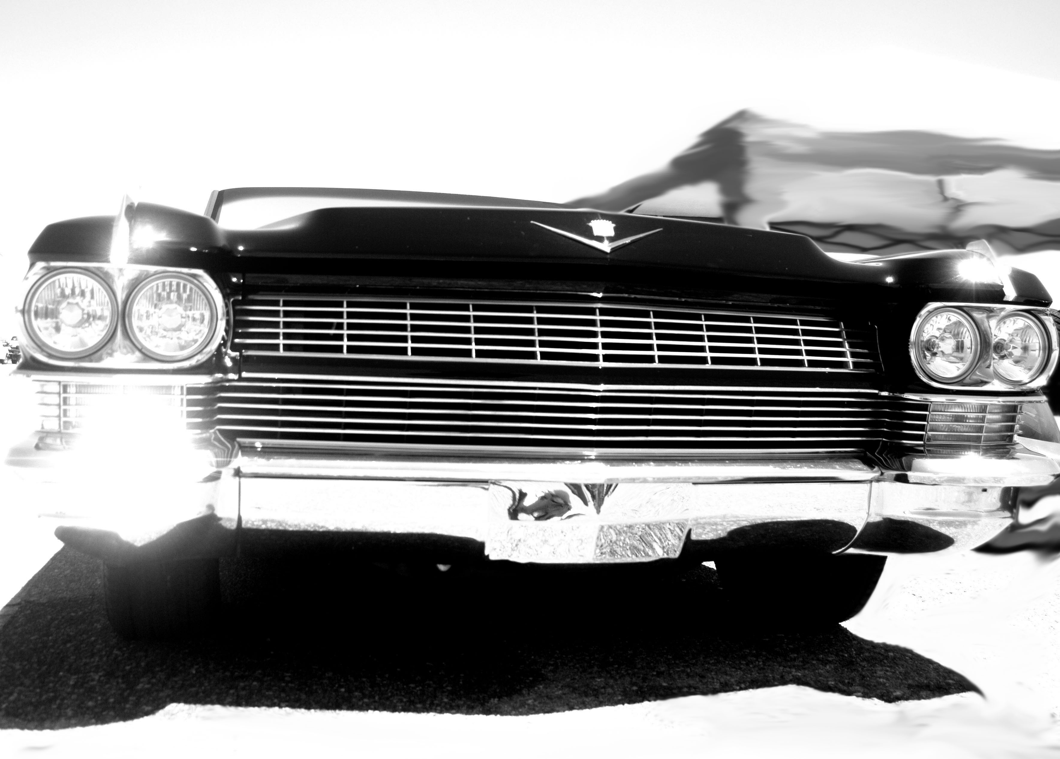 Black_Caddy2b Caddy Photo